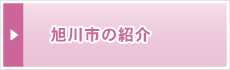 旭川市のみどころ紹介