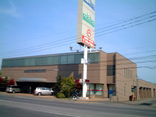 ���ܖ�ǃN�X���̃c���n�i�R3��X�O�ώʐ^